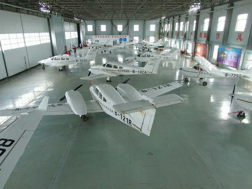 起飛吧,河南②丨布局建設(shè)多個(gè)機(jī)場(chǎng) 周口航空經(jīng)濟(jì)正在 展翅高飛